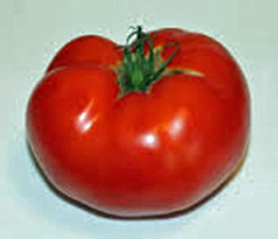 MKR Enterprises Tomato Seed(400 per packet)