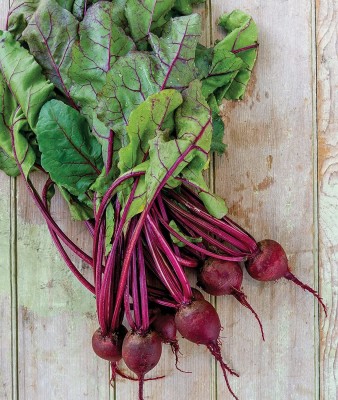 MKR Enterprises Beetroot Seed(1000 per packet)