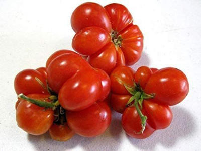 MKR Enterprises Tamatar Seed(650 per packet)