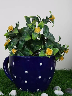 OriginalCeramics Plant Container Set(Ceramic)