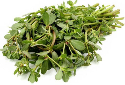 XOLDA Organic Kulfa Purslane Seed(83 per packet)