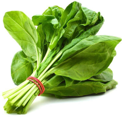 XOLDA Organic Palak Spinach Seed(86 per packet)