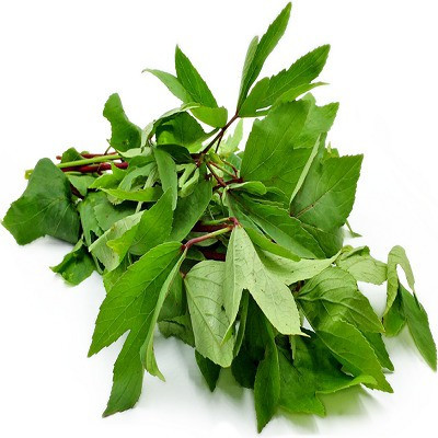 XOLDA Organic Ambada/Gongura Seed(57 per packet)