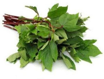 XOLDA Ambada/Gongura Seed(91 per packet)