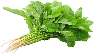 XOLDA Organic Amaranthus Green Seed(71 per packet)