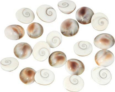 DARMIKA Gomti Chakra Gomati Chakra (21 Pcs) Natural and Real Chakra for Puja Stoneware Yantra(Pack of 21)
