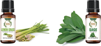 botanic garden Combo of Lemongrass & Sage Essential Oils-10ml each(20 ml)