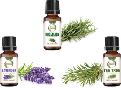 botanic garden Combo of Rosemary,Lavender & Tea Tree Essential Oil-10ml each(30 ml)