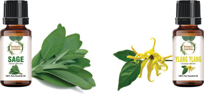 botanic garden Combo of Sage & Ylang Ylang Essential Oils-10ml each(20 ml)