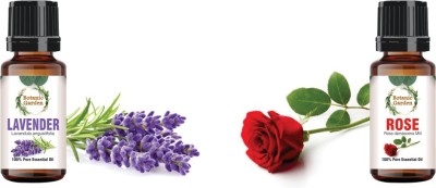 botanic garden Combo of Lavender & Rose Essential Oil-10ml each(20 ml)