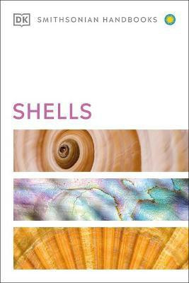 Shells(English, Paperback, DK)