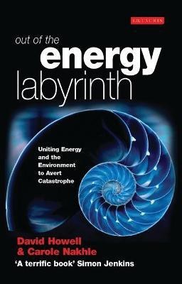 Out of the Energy Labyrinth(English, Paperback, Howell David)