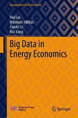Big Data in Energy Economics(English, Hardcover, Liu Hui)