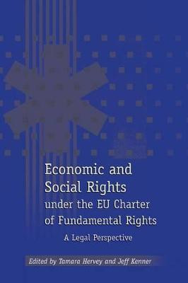 Economic and Social Rights under the EU Charter of Fundamental Rights(English, Paperback, unknown)