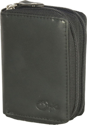 Style 98 10 Card Holder(Set of 1, Green)