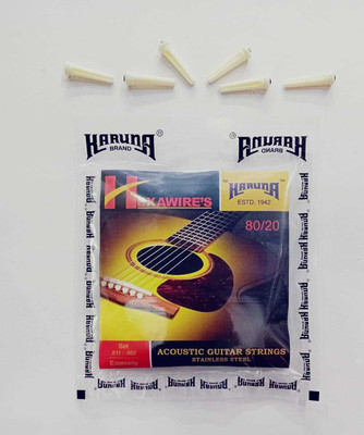 KARUNA Acoustic SET OF 6 PIN AND HEXA STRIG WIRE Guitar String(6 Strings)