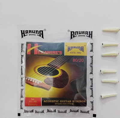 KARUNA Acoustic @ 6 PIN AND HEXA KARUN STRNG Guitar String(6 Strings)