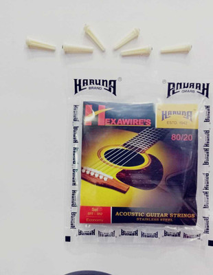 KARUNA Acoustic SET OF 6 PIN AND HEXA KARUNAA Guitar String(6 Strings)