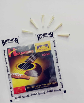 KARUNA Acoustic KARNA STRING SET AND PIN 6 PIECE Guitar String(6 Strings)