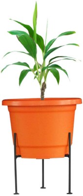 TrustBasket Rory Stand Suitable for 8inch Pot (Set of 12) Plant Container Set(Pack of 12, Metal)