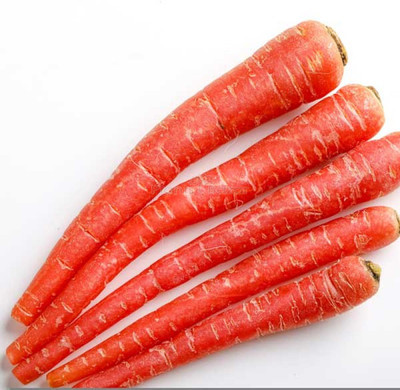 XOLDA Carrot Red Seed(21 per packet)