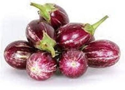 Chalisa BRINJAL, BRINJAL CVK, BRINJAL CVK Seeds Seed(200 per packet)