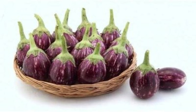 Chalisa BRINJAL, BRINJAL CVK, BRINJAL CVK Seeds Seed(150 per packet)