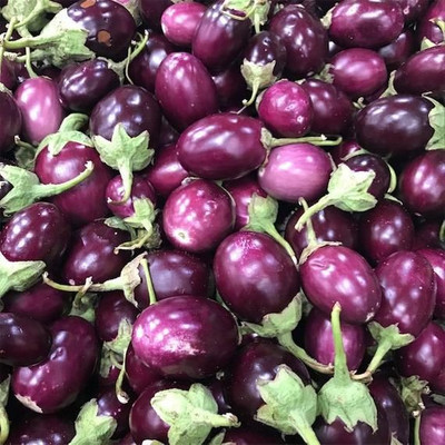 Arshiayat f1 hybrid brinjal Seed(57 per packet)