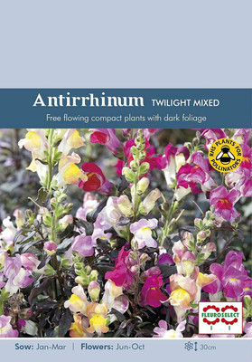 CRGO ANTIRRHINUM Seed(125 per packet)