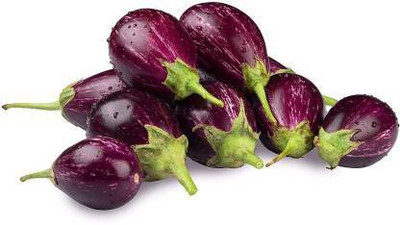 MAA Brinjal CVK, Brinjal Purple round, Eggplant Seed(160 per packet)