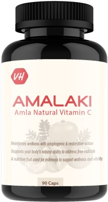 Vitaminhaat Amalaki Amla Natural Vitamin C with Piperine, Zinc(90 Capsules)