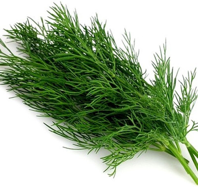 XOLDA Soya Dill Seed(21 per packet)