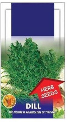 Biosnyg Dill Imported Leaf Sprout seeds 25gm Seeds Seed(25 g)