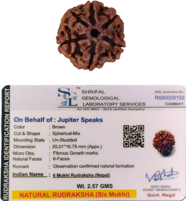 jupiter speaks 6 Mukhi Rudraksha Nepali 20-21 mm Size With Lab Certificate Natural Brown Color Wood Pendant