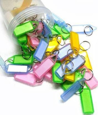 Daiyamondo Multipurpose name TAG Key Chain (Pack of 100)with Keyring Label Key Chain Key Chain