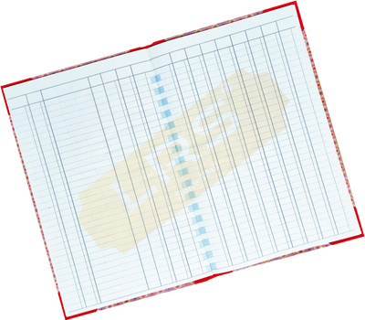 LRS Column Register 120 Pages - Pack of 1 - 32*20 cm 32-Part Column Register(120 Sets)