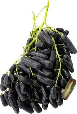 Aro Grapes Fruit, Black Grapes Seed(67 per packet)