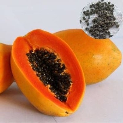 MKR Enterprises Papaya Seed(180 per packet)