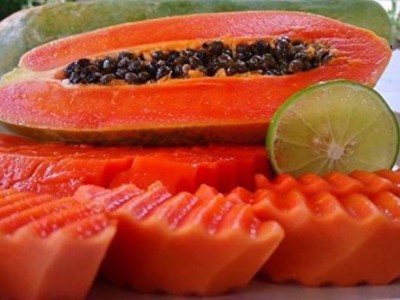 Chalisa Papaya, Papita Seed(160 per packet)