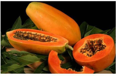 MAA Papaya, Papita Seed(110 per packet)