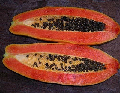 KANAYA Papaya Seed(150 per packet)