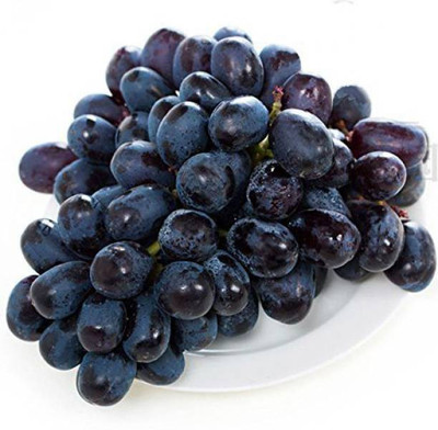 Aro Blueberry, Blueberries Seed(25 per packet)