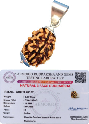 jupiter speaks 3 Mukhi / Face Rudraksha Indian Pendant Size 16-18 mm Color Brown Silver Wood Pendant