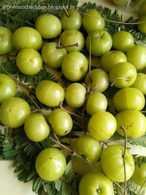 Chalisa Gooseberry, seeds, Fruit, Amla Seed(30 per packet)