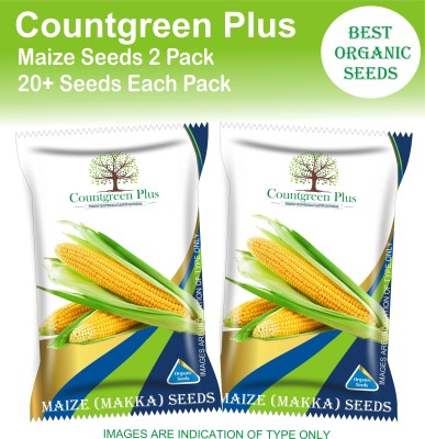 Countgreen Plus Maize (Makka/Bhutta) Seed(20 per packet)