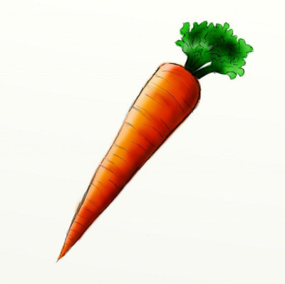 VNR Fresh Vnr Red Carrot Vegetable Hybrid Seed(100 per packet)