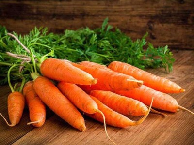 VNR Fresh Vnr Red Carrot Vegetable Hybrid Seed(200 per packet)