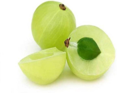 MAA Gooseberry, Amla Seed(16 per packet)