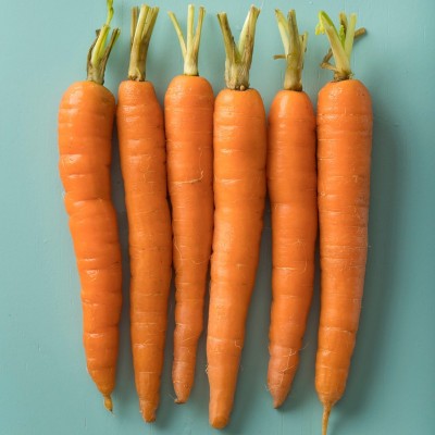 seedagro Fresh Carrot Vegetable Hybrid Variety Seed(50 per packet)