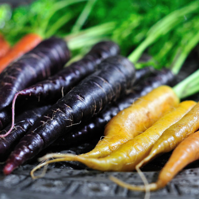 VNR Fresh Vnr Red Carrot Vegetable Hybrid Seed(100 per packet)